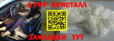 прущие грибы Гагарин