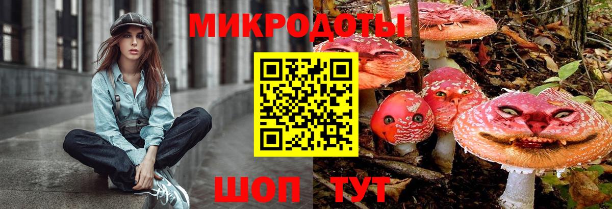 купить  цена  Галлюциногенные грибы Psilocybe  Вход с VPN  Мыски 